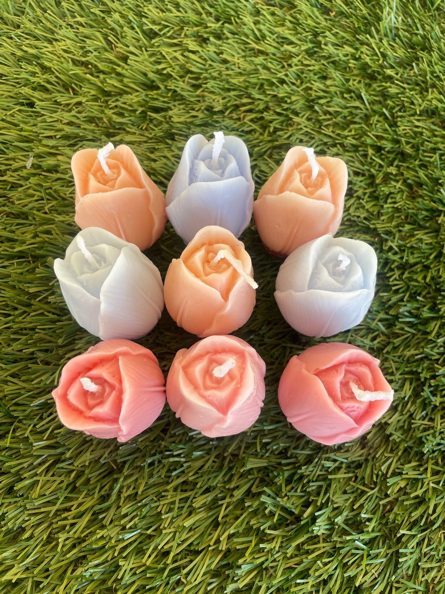9pc Tulip Box
