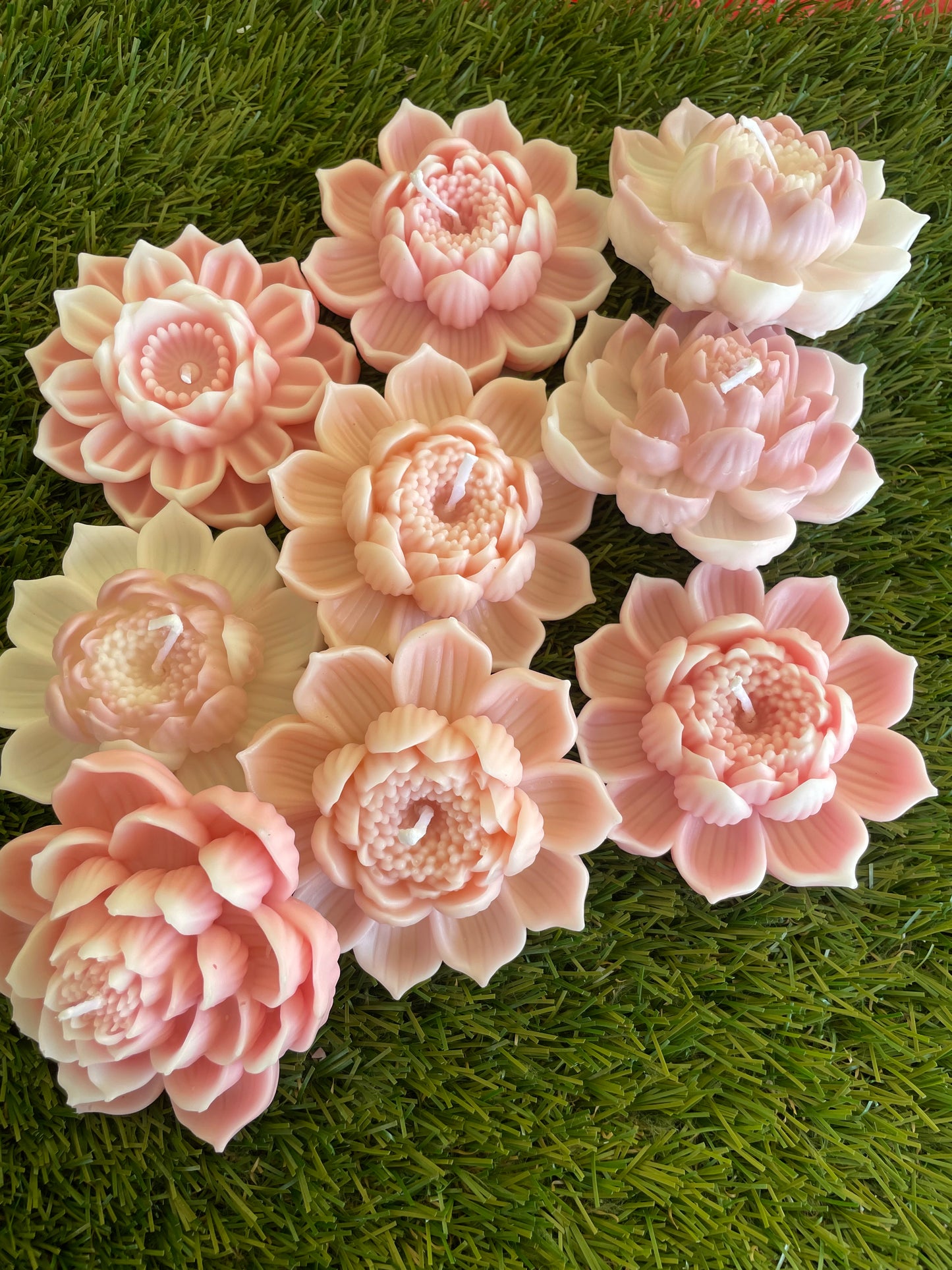 9pc Mixed Shades Lotus Box
