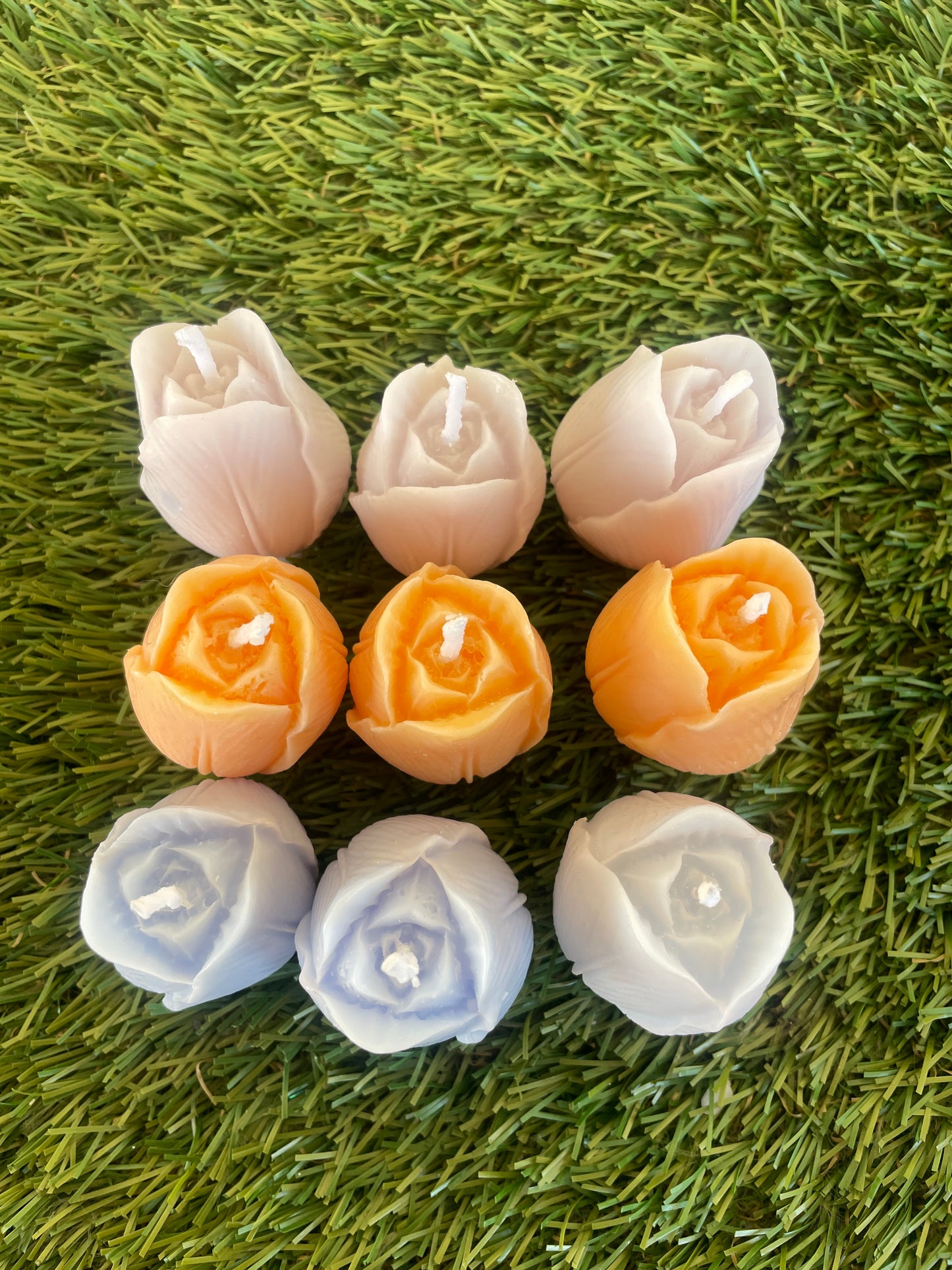 9 pc Tulip Box