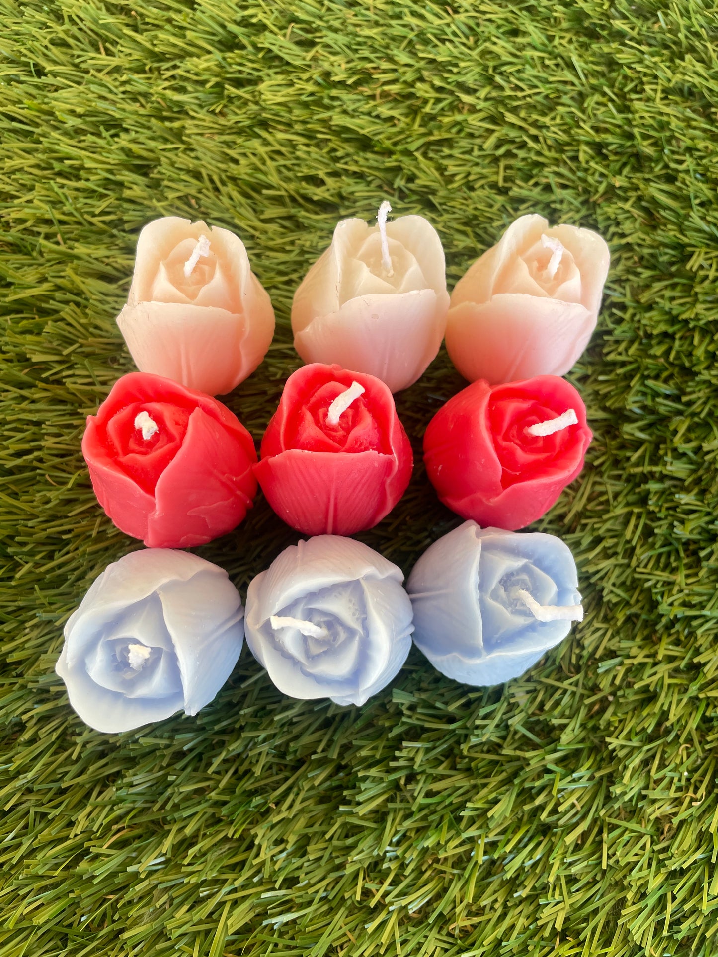 9pc Tulip Box