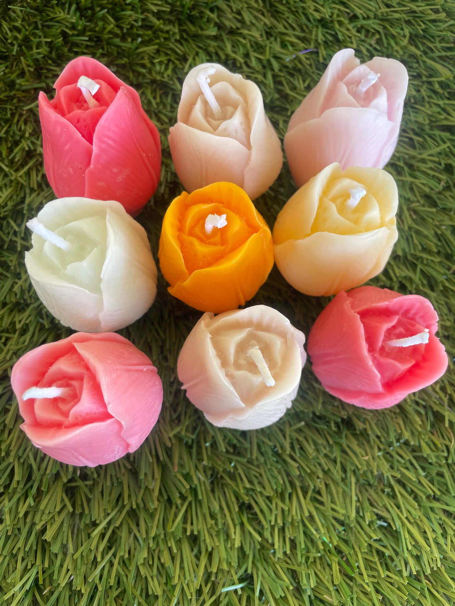 9 pc Tulip box