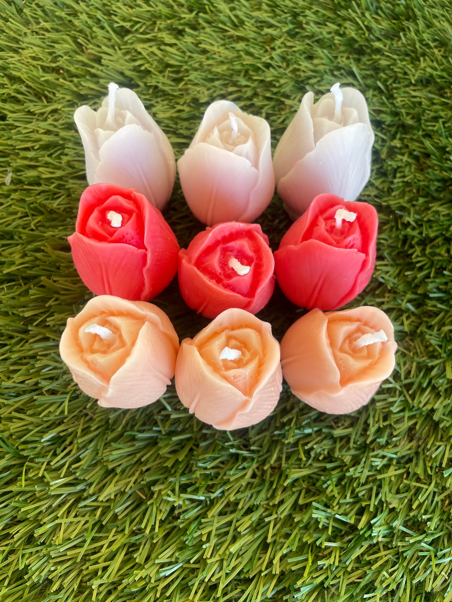 9pc Tulip Box
