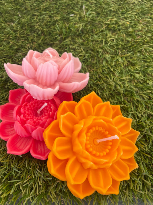3pc Lotus Flower Set