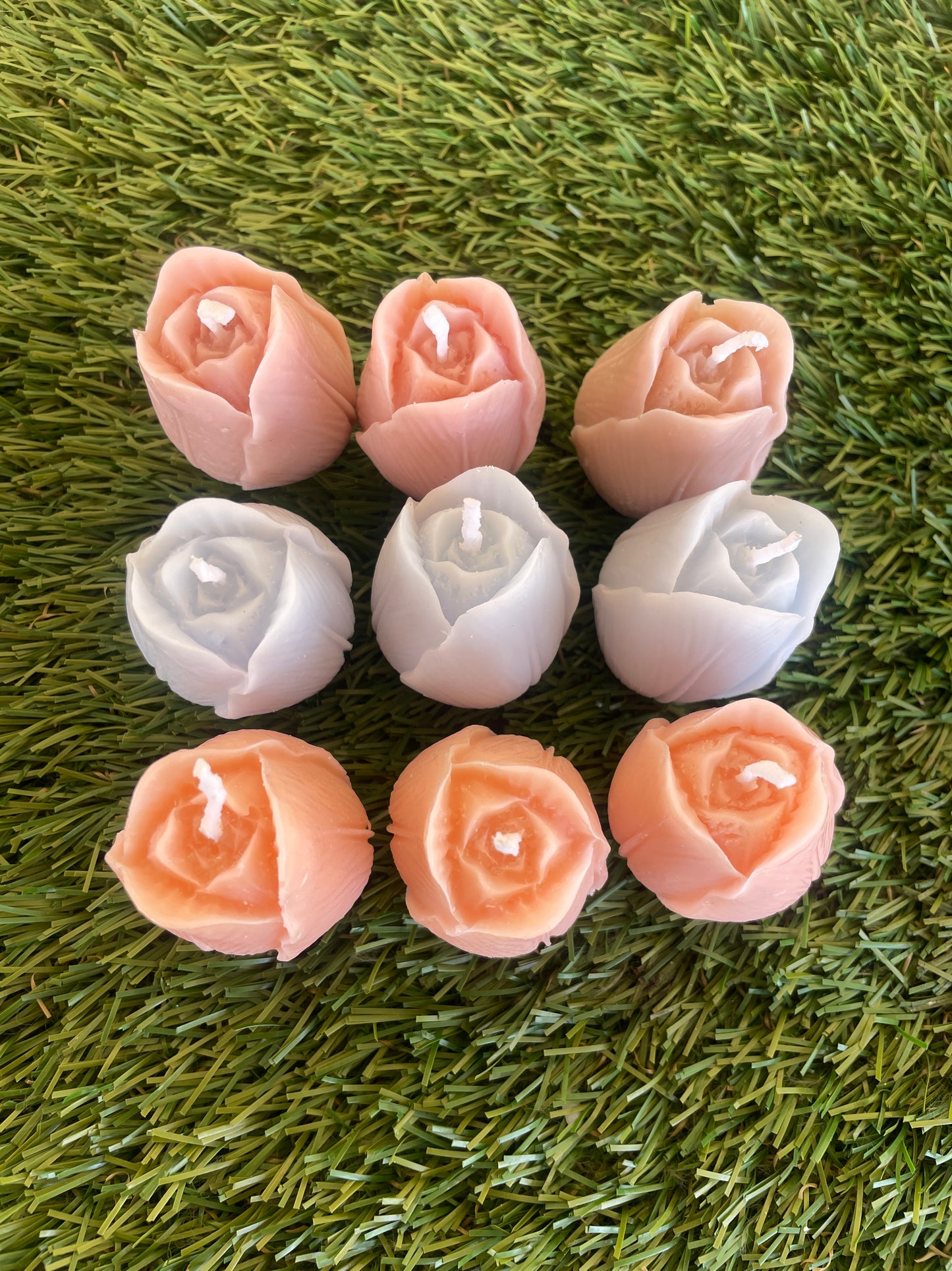 9pc Tulip Box