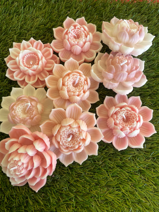 9pc Mixed Shades Lotus Box