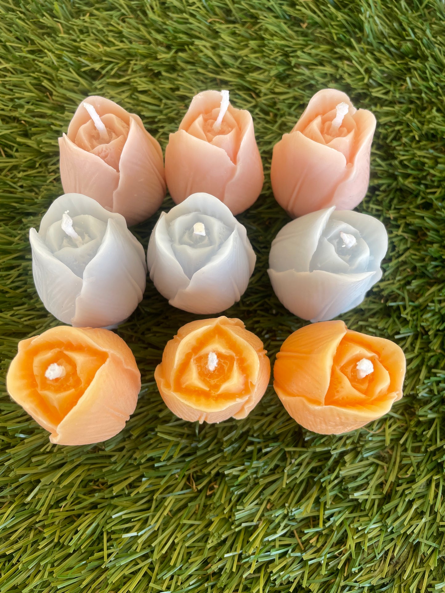 9pc Tulip Box
