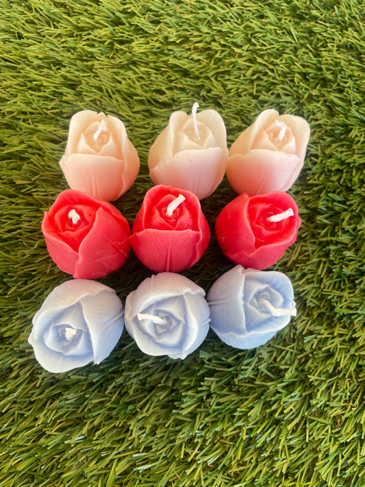 9pc Tulip Box