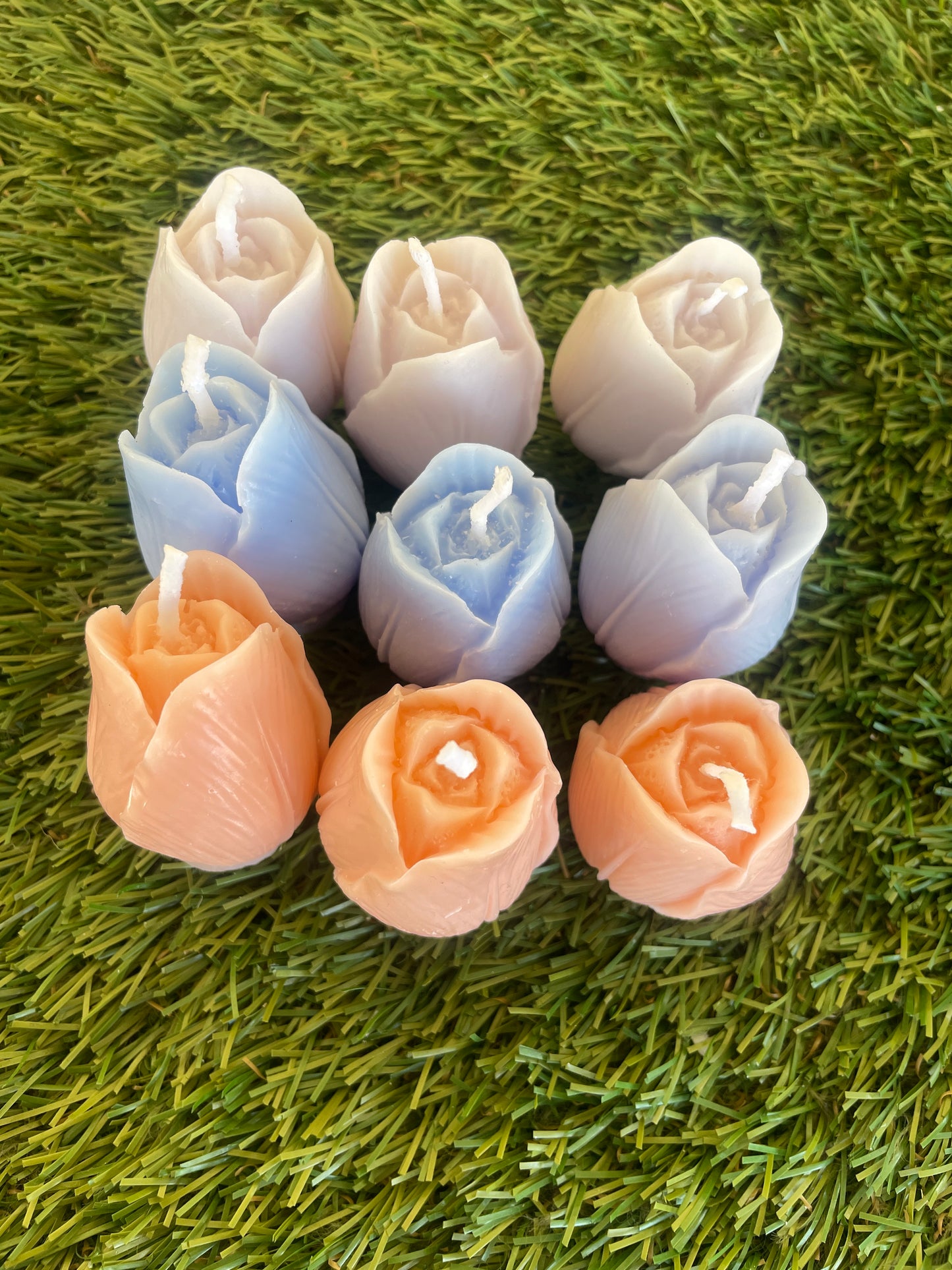 9pc Tulip Box