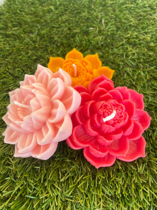 3pc Lotus Flower Set