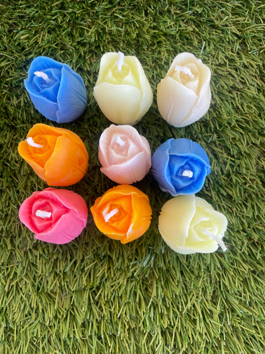 9pc Tulip Box