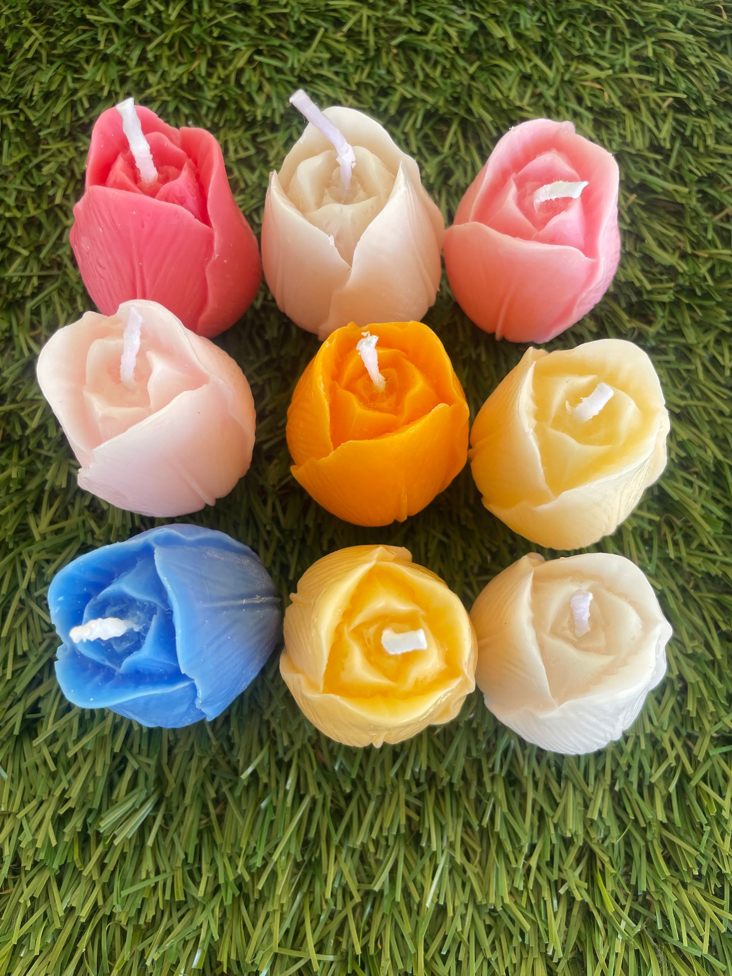 9pc Tulip Box